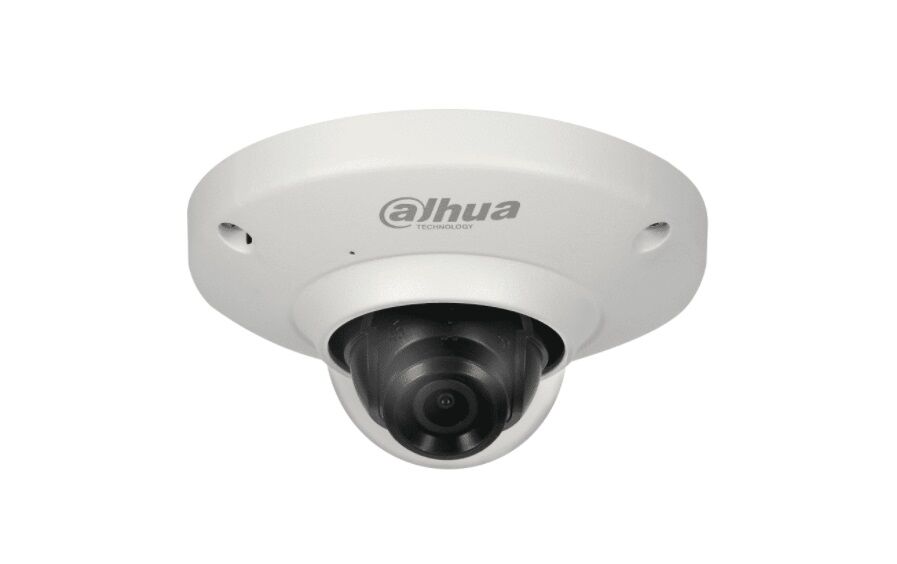 Suppose anywhere Circumference Dahua DH-IPC-EB5531P IP camera with 360 degree image - IP camera - Security  cameras