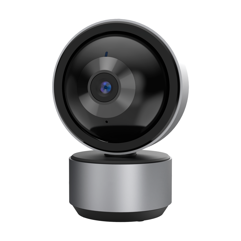 getuigenis ernstig Altijd PT Bewakingscamera voor binnen met 2K resolutie geschikt voor Google  Assistent en Amazon Echo