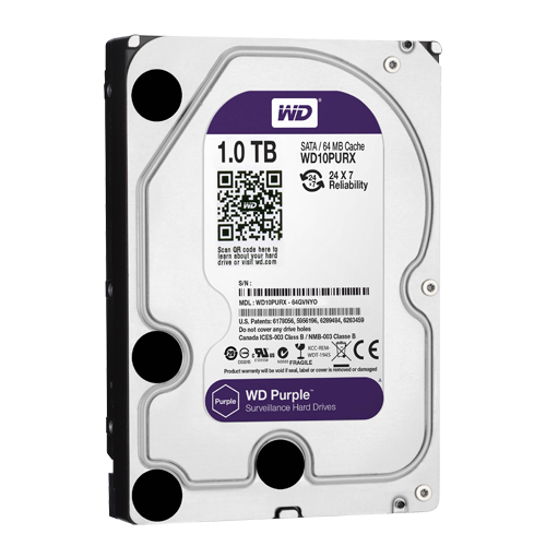 Dertig Iedereen limiet Western digital purple surveillance harddisk 1TB - 1000GB