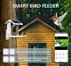 Smart AI bird cage with camera and display on mobile